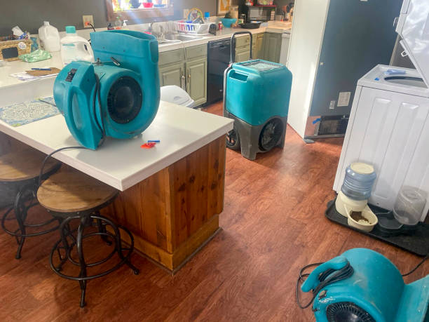 Best Ceiling water damage repair  in Racine, WI