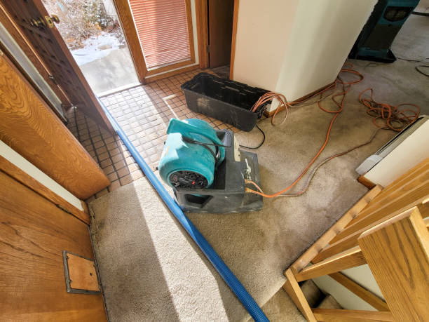 Best Local water damage restoration  in Racine, WI