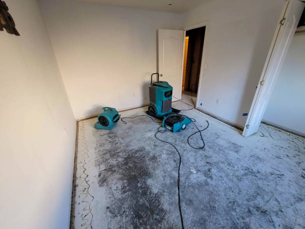 Best Residential water damage restoration  in Racine, WI