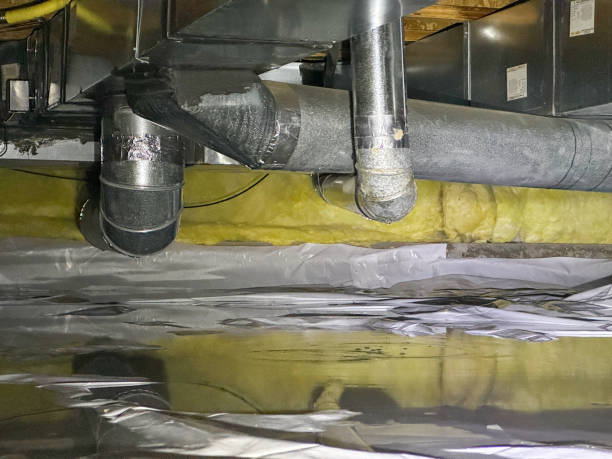 Best Carpet water damage restoration  in Racine, WI