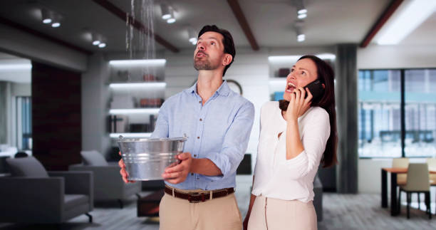 Carpet water damage restoration in WI