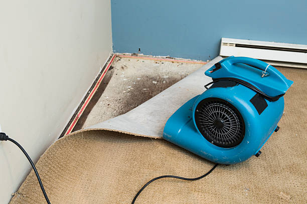 Best Flood damage cleanup  in Racine, WI